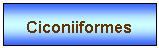 Zone de Texte: Ciconiiformes
