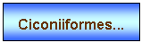 Zone de Texte: Ciconiiformes...