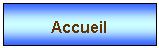 Zone de Texte: Accueil