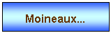 Zone de Texte: Moineaux...