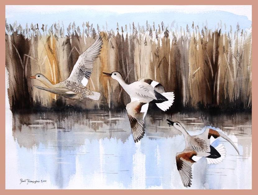 Aquarelle Cancanements