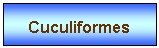 Zone de Texte: Cuculiformes