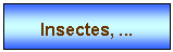 Zone de Texte: Insectes, ...