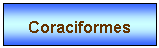 Zone de Texte: Coraciformes