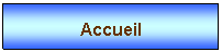 Zone de Texte: Accueil