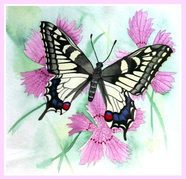 Aquarelle "Machaon"