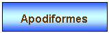Zone de Texte: Apodiformes