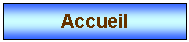 Zone de Texte: Accueil