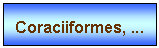 Zone de Texte: Coraciiformes, ...