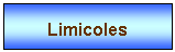 Zone de Texte: Limicoles