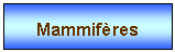 Zone de Texte: Mammifres