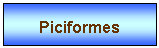 Zone de Texte: Piciformes