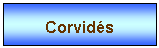 Zone de Texte: Corvids