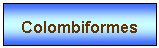 Zone de Texte: Colombiformes