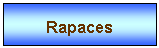 Zone de Texte: Rapaces