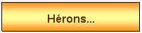 Zone de Texte: Hrons...