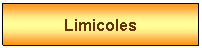 Zone de Texte: Limicoles
...

