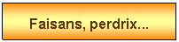 Zone de Texte: Faisans, perdrix...