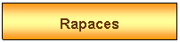 Zone de Texte: Rapaces