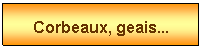 Zone de Texte: Corbeaux, geais...