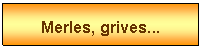 Zone de Texte: Merles, grives...