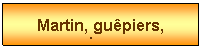 Zone de Texte: Martin, gupiers, pics...