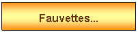 Zone de Texte: Fauvettes...