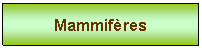 Zone de Texte: Mammifres

