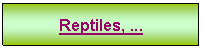 Zone de Texte: Reptiles, ...


