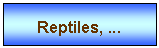 Zone de Texte: Reptiles, ...